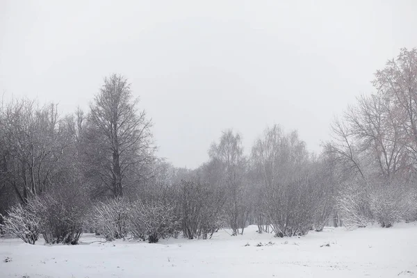 Parque de inverno coberto de neve e bancos. Parque e cais para alimentação — Fotografia de Stock