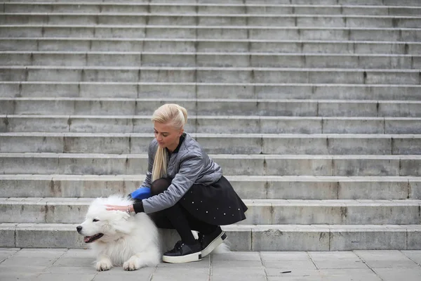 Menina encantadora em um passeio com um belo cão — Fotografia de Stock