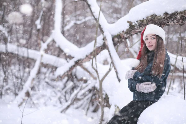 Chica en un parque de invierno en las nevadas — Foto de Stock