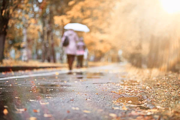 Őszi eső a parkban — Stock Fotó