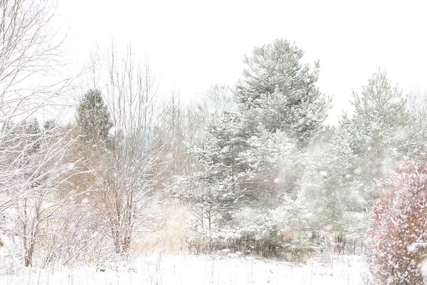 Winterlandschap van akkers en wegen — Stockfoto