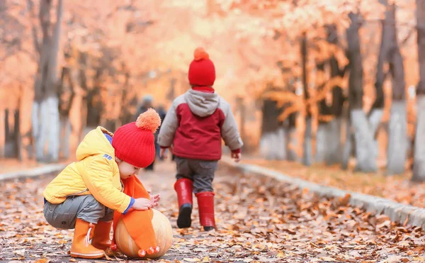 子供たちは、自然に歩いています。夕暮れの子供が歩いています。 — ストック写真