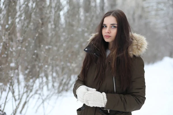 Menina bonita em um belo parque de inverno — Fotografia de Stock