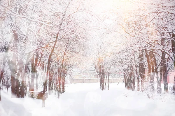 Paisaje invernal. Bosque bajo la nieve. Invierno en el parque . — Foto de Stock
