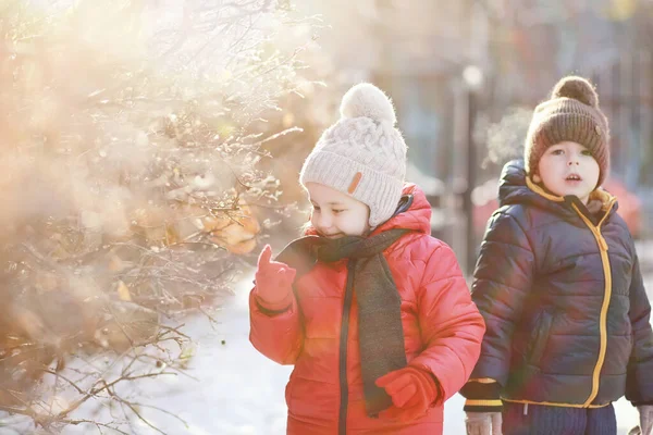 冬の公園で遊ぶ暖かい服のかわいい子供たち — ストック写真