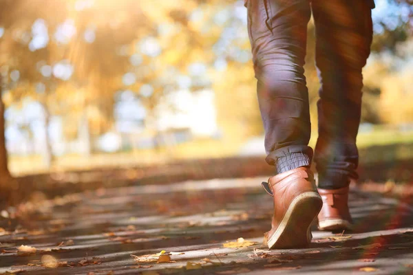 Autumn background in the park — Stock Photo, Image