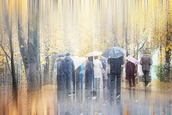 Fondo lluvia de otoño en el parque — Foto de Stock