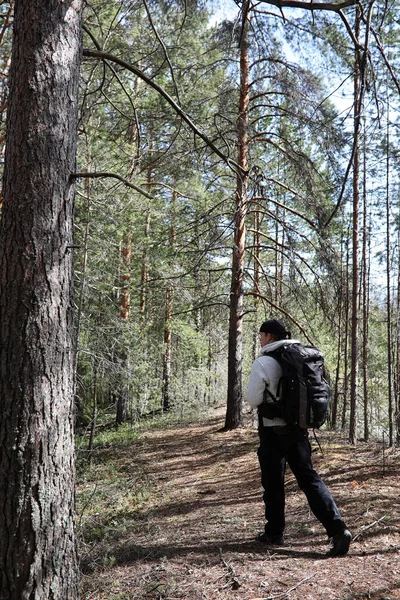 Člověk je jako turista v borovém lese s batohem. A turistické tr — Stock fotografie