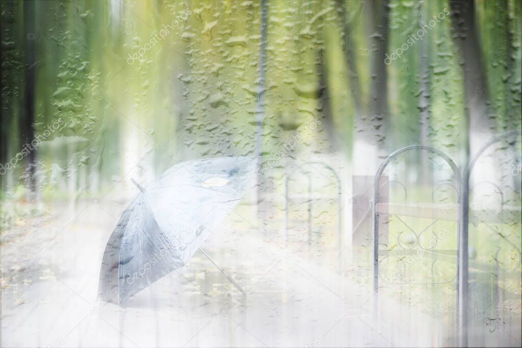 Background spring rain in the park