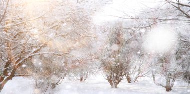 Winter Park 'ta. Karlı havada manzara manzarası. Ocak.