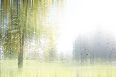 Parkta arka plan bahar yağmuru