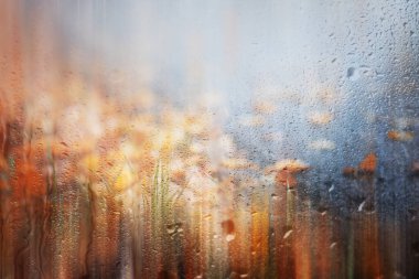 Park arka plan Sonbahar yağmur