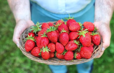 çilek uzanmış elinde