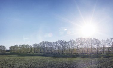 Yatay yaz mevsimindeyiz. Yeşil ağaç ve otların arasında kırsal arazi
