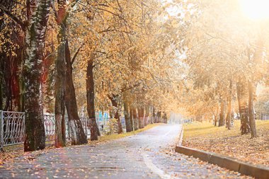 parkta sonbahar yağmur