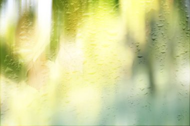 Parkta arka plan bahar yağmuru