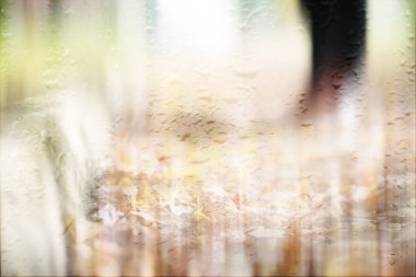 Yağmurlu bir günde sonbahar parkında yürüyen adamın bulanık görüntüsü 