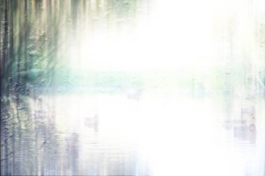 Yağmurlu bir günde sonbahar parkının bulanık görüntüsü