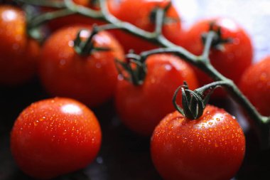 Dal taze kiraz domates ile. Olgun kırmızı domates. Domates bir