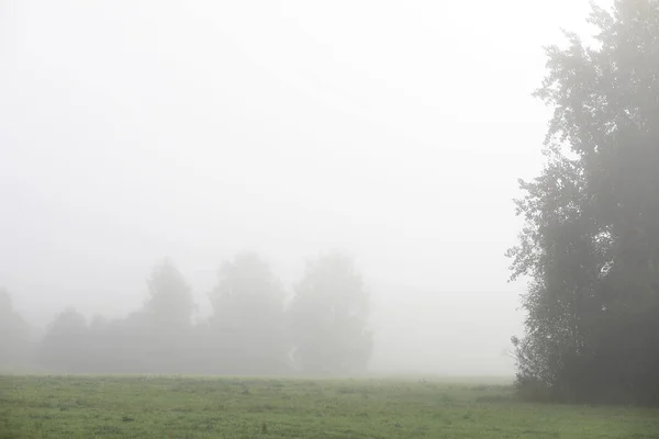 Fin de saison estivale dans le parc — Photo