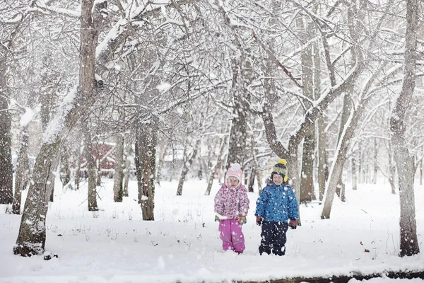 Pokryte śniegiem zima park i ławki. Park i molo do karmienia — Zdjęcie stockowe