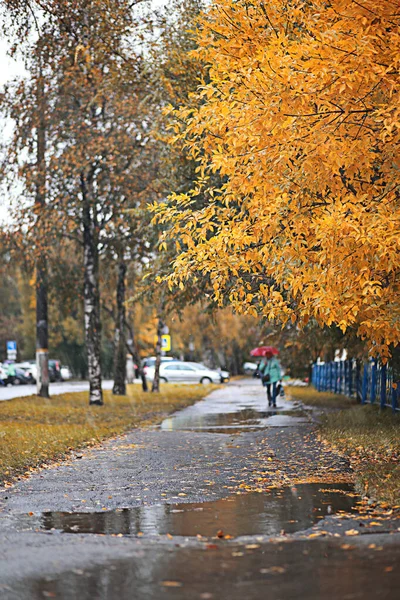 Herbstregen im Park — Stockfoto