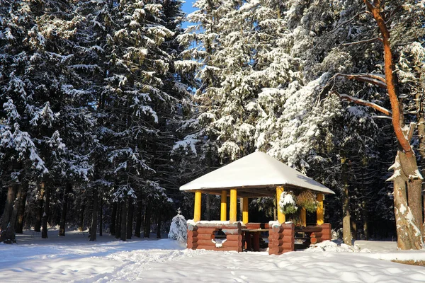 Wooden gazebo in forest in winter sunny day — Stock Photo, Image