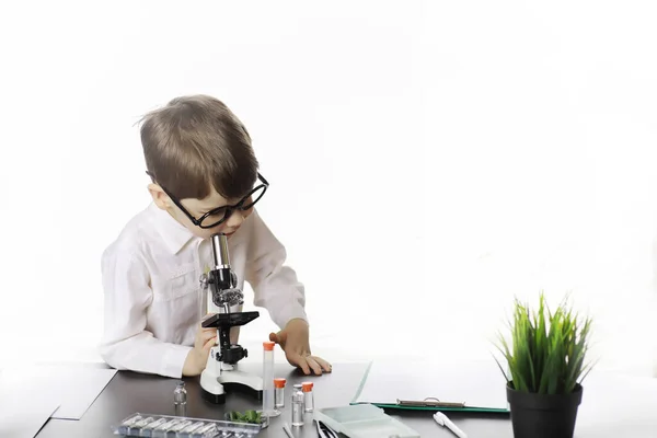 Jóvenes científicos químicos. Doctor, asistente de laboratorio . —  Fotos de Stock