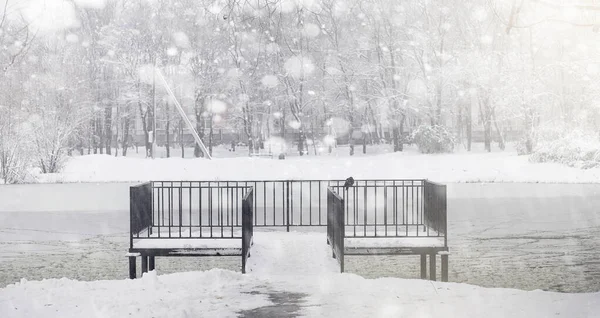 Заснеженный зимний парк и скамейки. Парк и пирс для кормления — стоковое фото