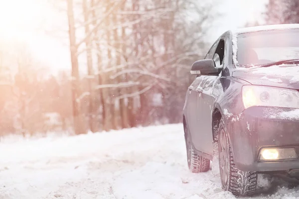 Das Auto ist grau auf der Straße im Wald. eine Reise ins Land — Stockfoto