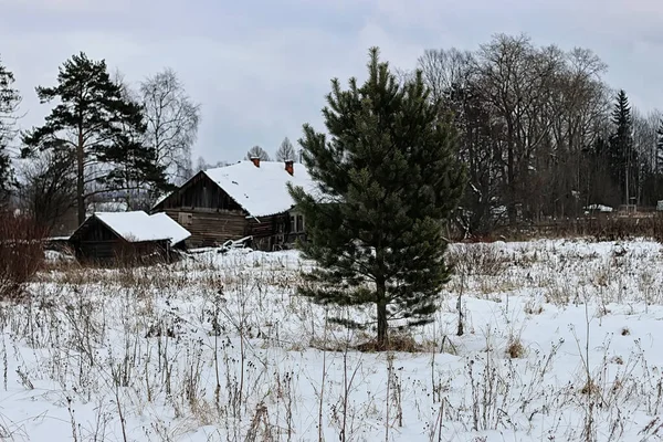 Maison rural hiver — Photo