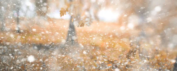 Hintergrund Herbst Park im ersten Schnee — Stockfoto