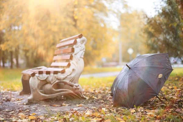 Sfondo autunnale nel parco — Foto Stock