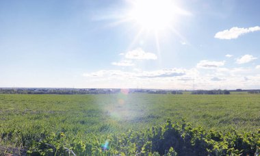 Yatay yaz mevsimindeyiz. Yeşil ağaç ve otların arasında kırsal arazi