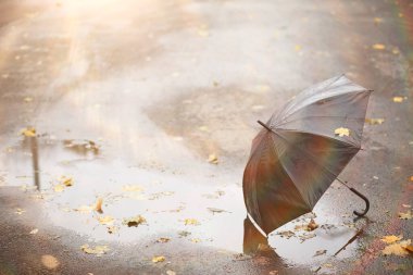 Parkta sonbahar arka plan