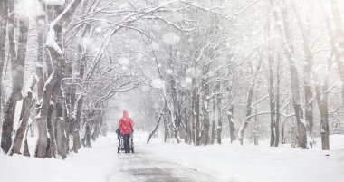 Karla kaplı Kış park ve banklar. Park ve beslenme için pier 