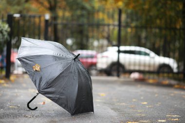 Parkta sonbahar arka plan