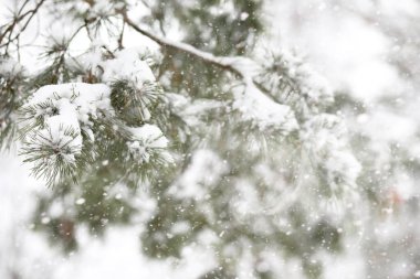 Kırsal alanların ve yolların kış manzarası