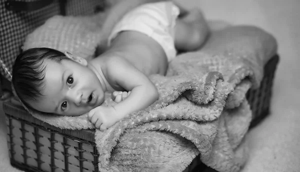 Newborn baby lying on the basket and plaid — Stock Photo, Image