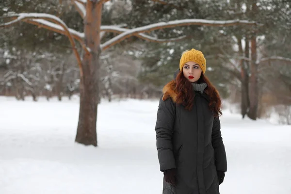 Bella ragazza in un bellissimo parco invernale — Foto Stock