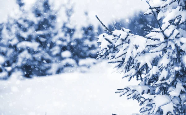 Landskap i vinterdag — Stockfoto