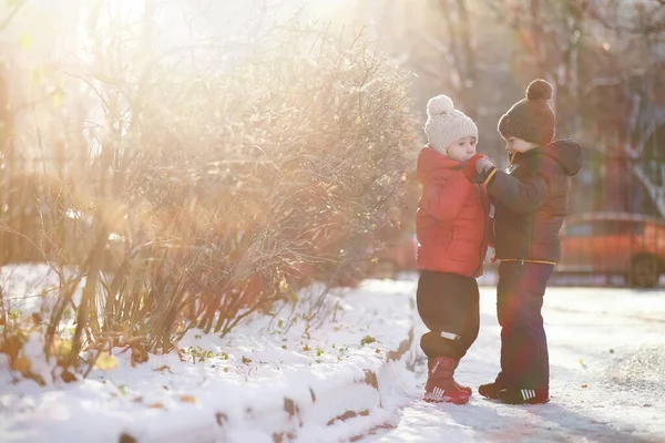 Söta Barn Varma Kläder Leker Vinter Park — Stockfoto