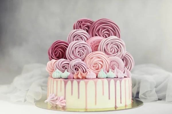 Beau gâteau biscuit festif avec différentes crèmes — Photo