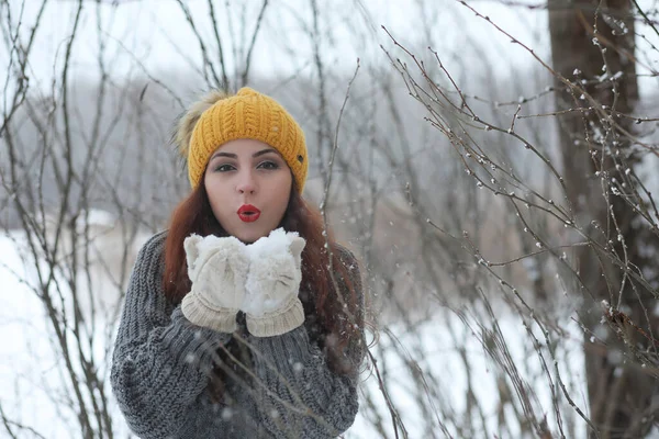 Menina bonita em um belo parque de inverno — Fotografia de Stock