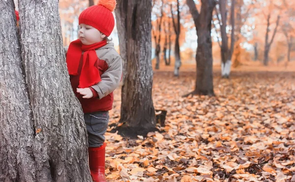 Los niños caminan en la naturaleza. Crepúsculo niños están caminando alrededor — Foto de Stock