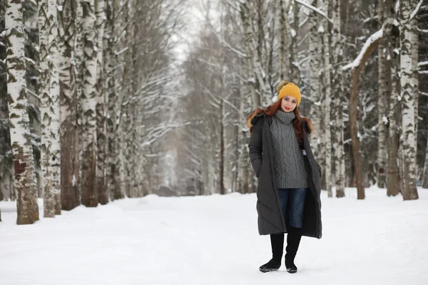 Beautiful girl in a beautiful winter park — Stock Photo, Image