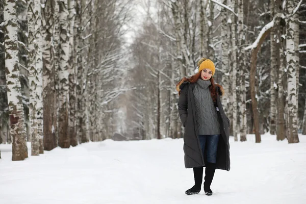 Bella ragazza in un bellissimo parco invernale — Foto Stock