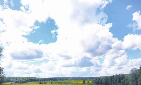 Landschaft ist Sommer. grüne Bäume und Gras in einem ländlichen Land — Stockfoto