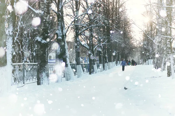 Boom Pad Straat Winter Sneeuw — Stockfoto