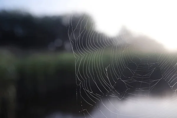 Névoa no lago. Manhã natureza água nevoeiro branco . — Fotografia de Stock